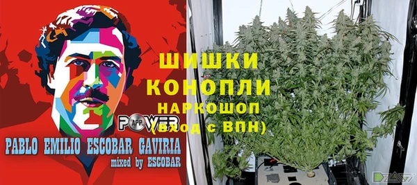 прущая мука Шали