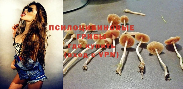 каннабис Новодвинск
