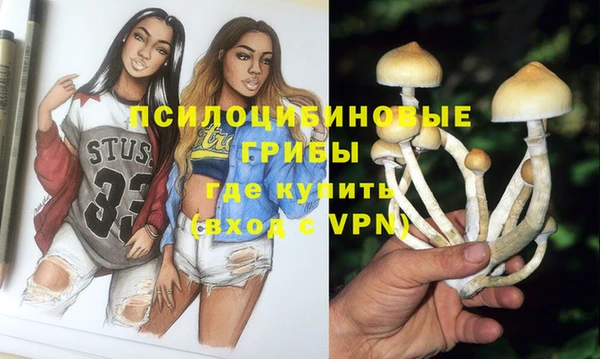 каннабис Новодвинск