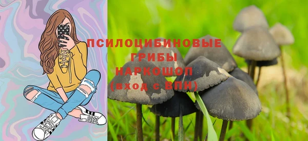 каннабис Новодвинск