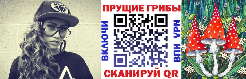 Галлюциногенные грибы Magic Shrooms  купить наркоту  Краснообск 